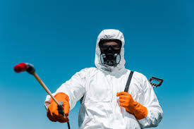 Best Bee and Wasp Removal  in Jennings Lodge, OR